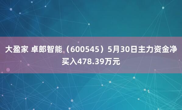 大盈家 卓郎智能(600545)5月30日主力资金净买入478.39万元