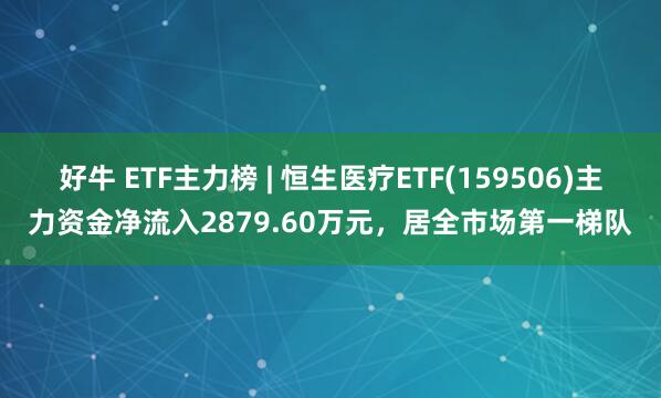 好牛 ETF主力榜 | 恒生医疗ETF(159506)主力资金净流入2879.60万元，居全市场第一梯队